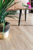 Alpine Floor Sequoia Секвойя Калифорния ECO 6-6