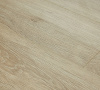 Aroma Albero 288 Beliche