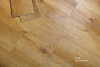 Skalla Standart St301 Дуб Вега (Oak Vega)