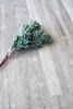 Alpine Floor Easy Line Дуб Полярный ECO 3-19